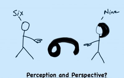 Perception and Perspective